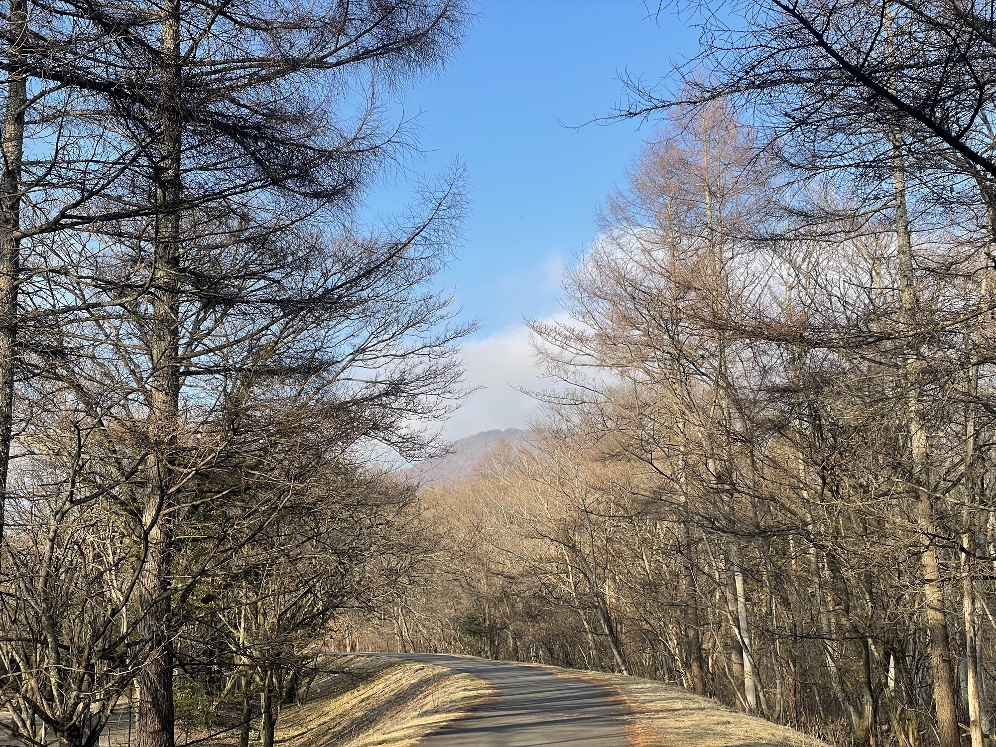 湯川ふるさと公園へお散歩🚶〜野鳥に出会いながら〜