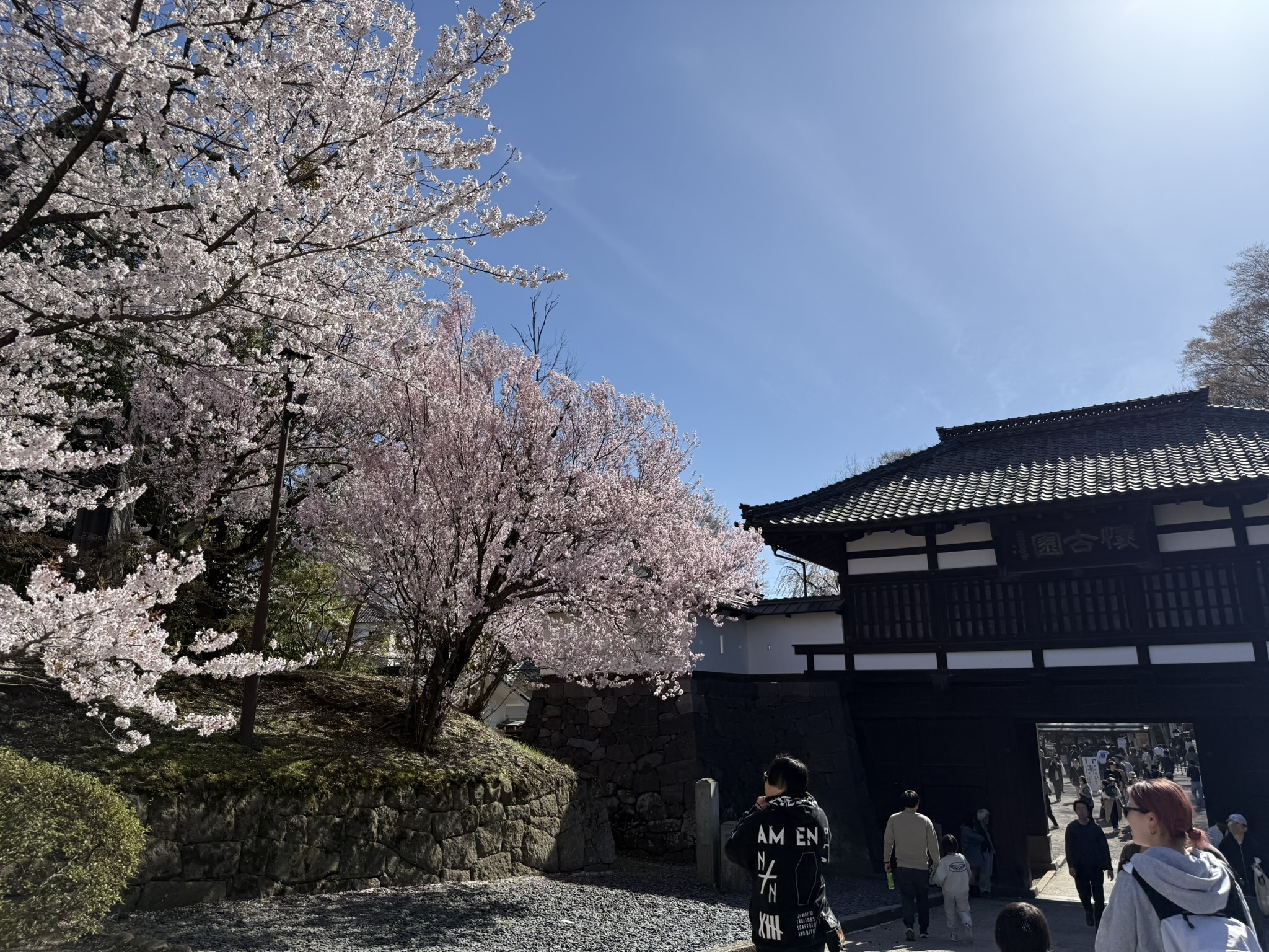 懐古園の入り口と桜