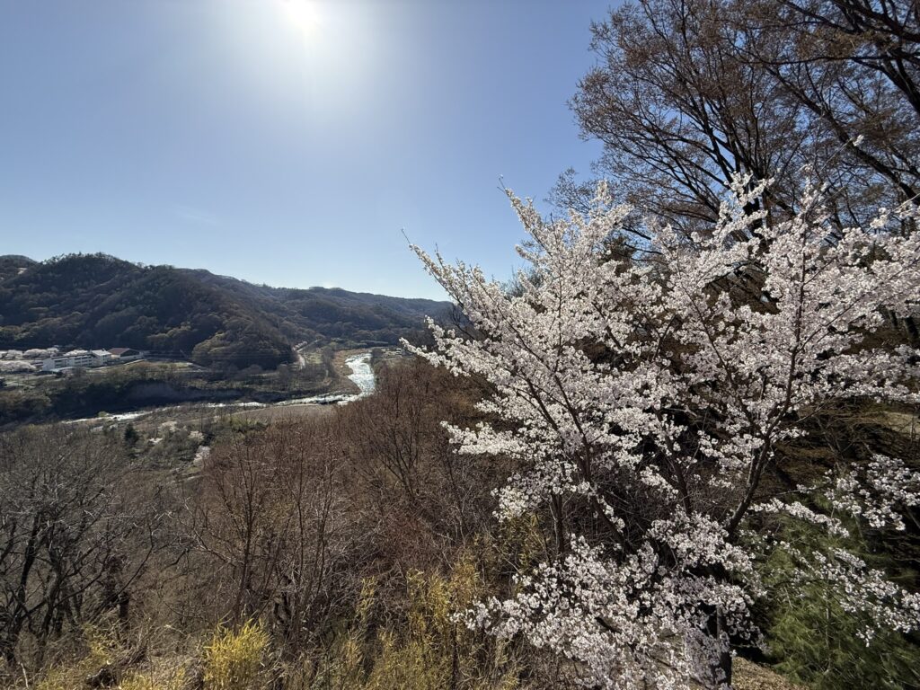水の手不明御門跡からの眺望