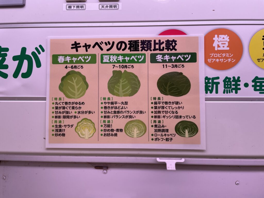 キャベツの種類比較