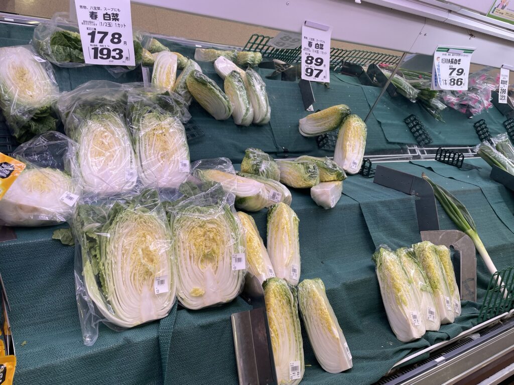 沢山並べられた白菜